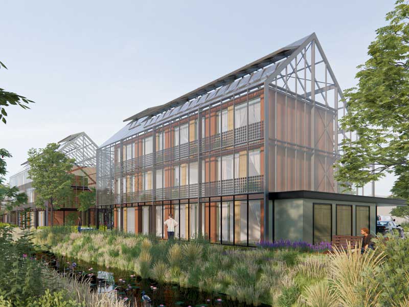 Biophilic design